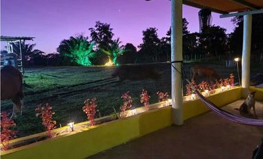 VENDO FINCA EN LA CHORRERA CERRO CAMA LAS PAVAS 3 HECTREAS CON 100MTS