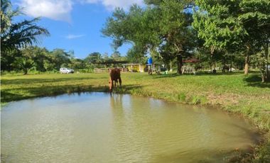 VENDO FINCA EN LA CHORRERA CERRO CAMA LAS PAVAS 3 HECTREAS CON 100MTS
