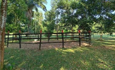 VENDO FINCA EN LA CHORRERA CERRO CAMA LAS PAVAS 3 HECTREAS CON 100MTS