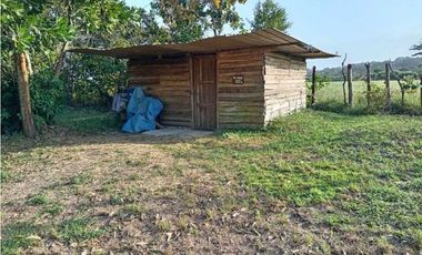 VENDO FINCA EN LA CHORRERA CERRO CAMA LAS PAVAS 3 HECTREAS CON 100MTS