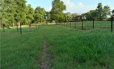 VENDO FINCA EN LA CHORRERA CERRO CAMA LAS PAVAS 3 HECTREAS CON 100MTS