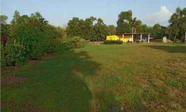 VENDO FINCA EN LA CHORRERA CERRO CAMA LAS PAVAS 3 HECTREAS CON 100MTS