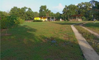 VENDO FINCA EN LA CHORRERA CERRO CAMA LAS PAVAS 3 HECTREAS CON 100MTS