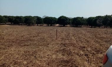 VT-004 RANCHO EN PRODUCCION  A  30 MINUTOS DE ACAPULCO