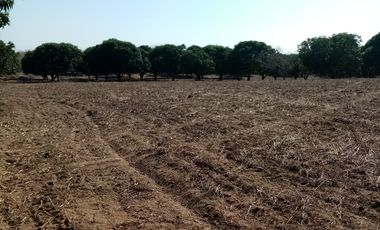 VT-004 RANCHO EN PRODUCCION  A  30 MINUTOS DE ACAPULCO