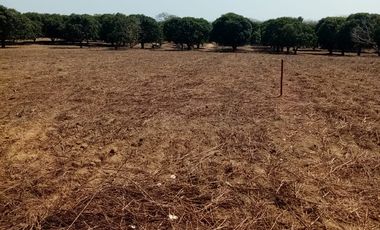 VT-004 RANCHO EN PRODUCCION  A  30 MINUTOS DE ACAPULCO