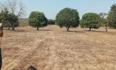 VT-004 RANCHO EN PRODUCCION  A  30 MINUTOS DE ACAPULCO