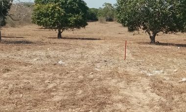 VT-004 RANCHO EN PRODUCCION  A  30 MINUTOS DE ACAPULCO