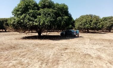 VT-004 RANCHO EN PRODUCCION  A  30 MINUTOS DE ACAPULCO