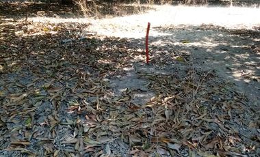 VT-004 RANCHO EN PRODUCCION  A  30 MINUTOS DE ACAPULCO