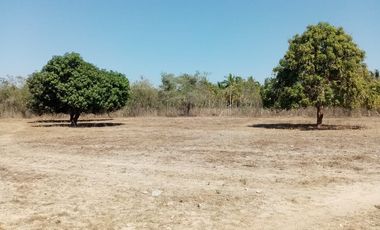 VT-004 RANCHO EN PRODUCCION  A  30 MINUTOS DE ACAPULCO