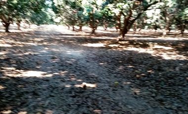 VT-004 RANCHO EN PRODUCCION  A  30 MINUTOS DE ACAPULCO