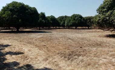 VT-004 RANCHO EN PRODUCCION  A  30 MINUTOS DE ACAPULCO