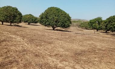 VT-004 RANCHO EN PRODUCCION  A  30 MINUTOS DE ACAPULCO