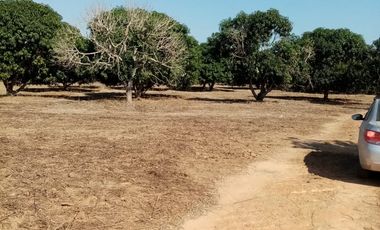 VT-004 RANCHO EN PRODUCCION  A  30 MINUTOS DE ACAPULCO