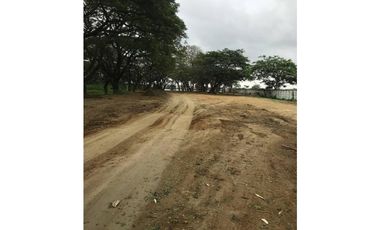 Av. Leon Febres Cordero (la Aurora), terreno Comercial 12919,86 m2..
