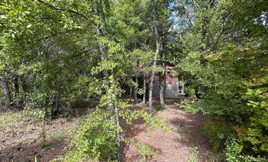 REFUGIO PREMIUM EN EL CORAZON DEL BOSQUE NATIVO - CAMINO A LAS TRANCAS