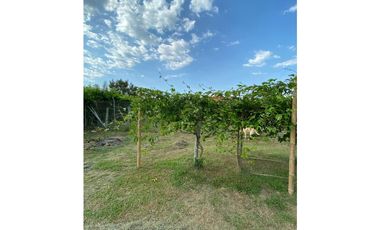 SE VENDE CASA CAMPESTRE EN ZABALETAS ANDALUCIA VALLE