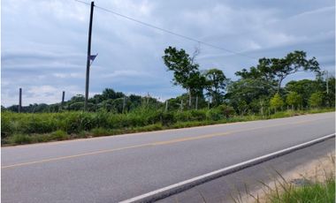 SE VENDE TERRENO AGRICOLA EN CARRETERA YURIMAGUAS - TARAPOTO