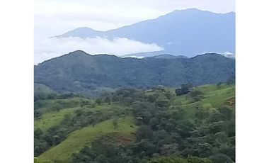 Se alquila la casa de tus sueños