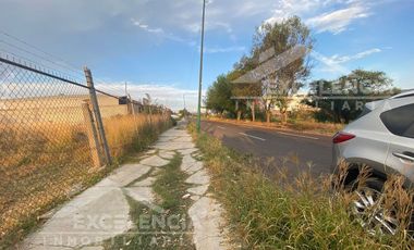 RENTA DE TERRENO EN COL. DR. MIGUEL SILVA SOBRE LA AV. DEL RIO