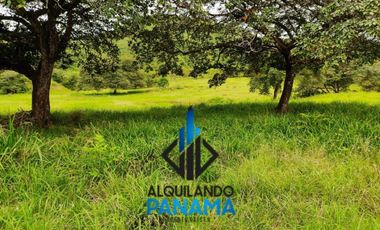 Se Vende Finca Ganadera Pesé Herrera $129.000.00 21.4 Ha.