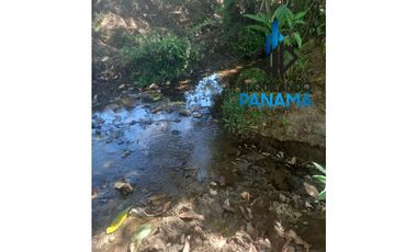 Se Vende Finca Ganadera Pesé Herrera $129.000.00 21.4 Ha.