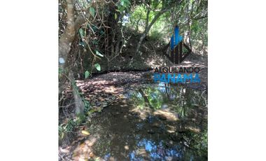 Se Vende Finca Ganadera Pesé Herrera $129.000.00 21.4 Ha.