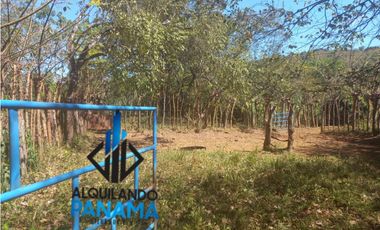 Se Vende Finca Ganadera Pesé Herrera $129.000.00 21.4 Ha.