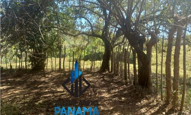 Se Vende Finca Ganadera Pesé Herrera $129.000.00 21.4 Ha.