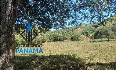 Se Vende Finca Ganadera Pesé Herrera $129.000.00 21.4 Ha.