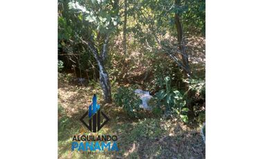 Se Vende Finca Ganadera Pesé Herrera $129.000.00 21.4 Ha.