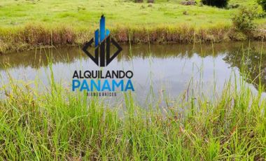 Se Vende Finca Ganadera Pesé Herrera $129.000.00 21.4 Ha.