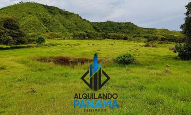 Se Vende Finca Ganadera Pesé Herrera $129.000.00 21.4 Ha.