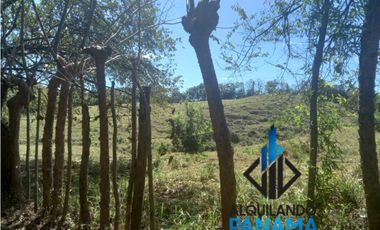 Se Vende Finca Ganadera Pesé Herrera $129.000.00 21.4 Ha.