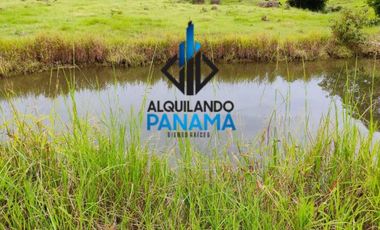 Se Vende Finca Ganadera Pesé Herrera $129.000.00 21.4 Ha.