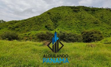 Se Vende Finca Ganadera Pesé Herrera $129.000.00 21.4 Ha.