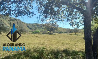 Se Vende Finca Ganadera Pesé Herrera $129.000.00 21.4 Ha.