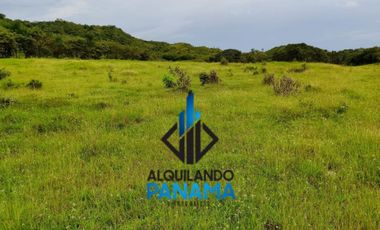 Se Vende Finca Ganadera Pesé Herrera $129.000.00 21.4 Ha.