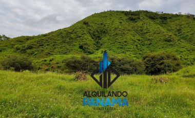 Se Vende Finca Ganadera Pesé Herrera $129.000.00 21.4 Ha.