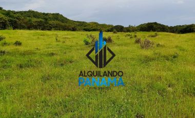 Se Vende Finca Ganadera Pesé Herrera $129.000.00 21.4 Ha.