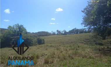 Se Vende Finca Ganadera Pesé Herrera $129.000.00 21.4 Ha.