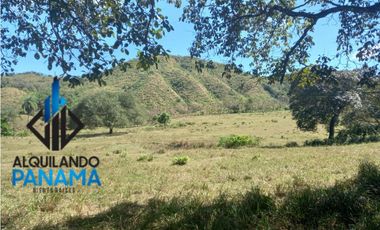 Se Vende Finca Ganadera Pesé Herrera $129.000.00 21.4 Ha.