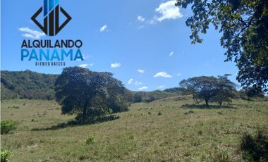 Se Vende Finca Ganadera Pesé Herrera $129.000.00 21.4 Ha.