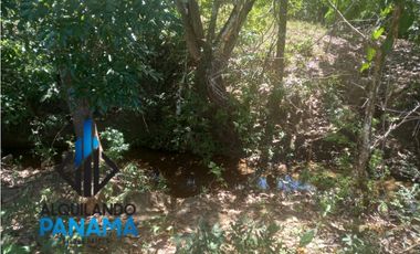 Se Vende Finca Ganadera Pesé Herrera $129.000.00 21.4 Ha.