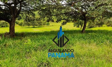 Se Vende Finca Ganadera Pesé Herrera $129.000.00 21.4 Ha.