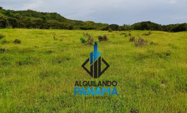 Se Vende Finca Ganadera Pesé Herrera $129.000.00 21.4 Ha.