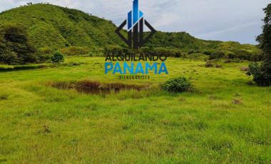 Se Vende Finca Ganadera Pesé Herrera $129.000.00 21.4 Ha.