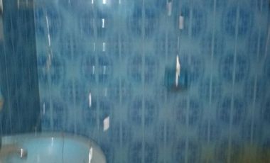 CASA PH PLANTA BAJA DE 2 AMBIENTES CON FONDO Y JARDIN.