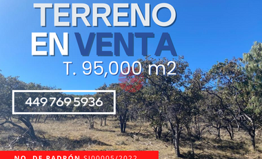 DESIC VENDE Terreno 9.5 HECTÁREAS 95,000m2. SIERRA DE LAUREL. POR LAS CABAÑAS
